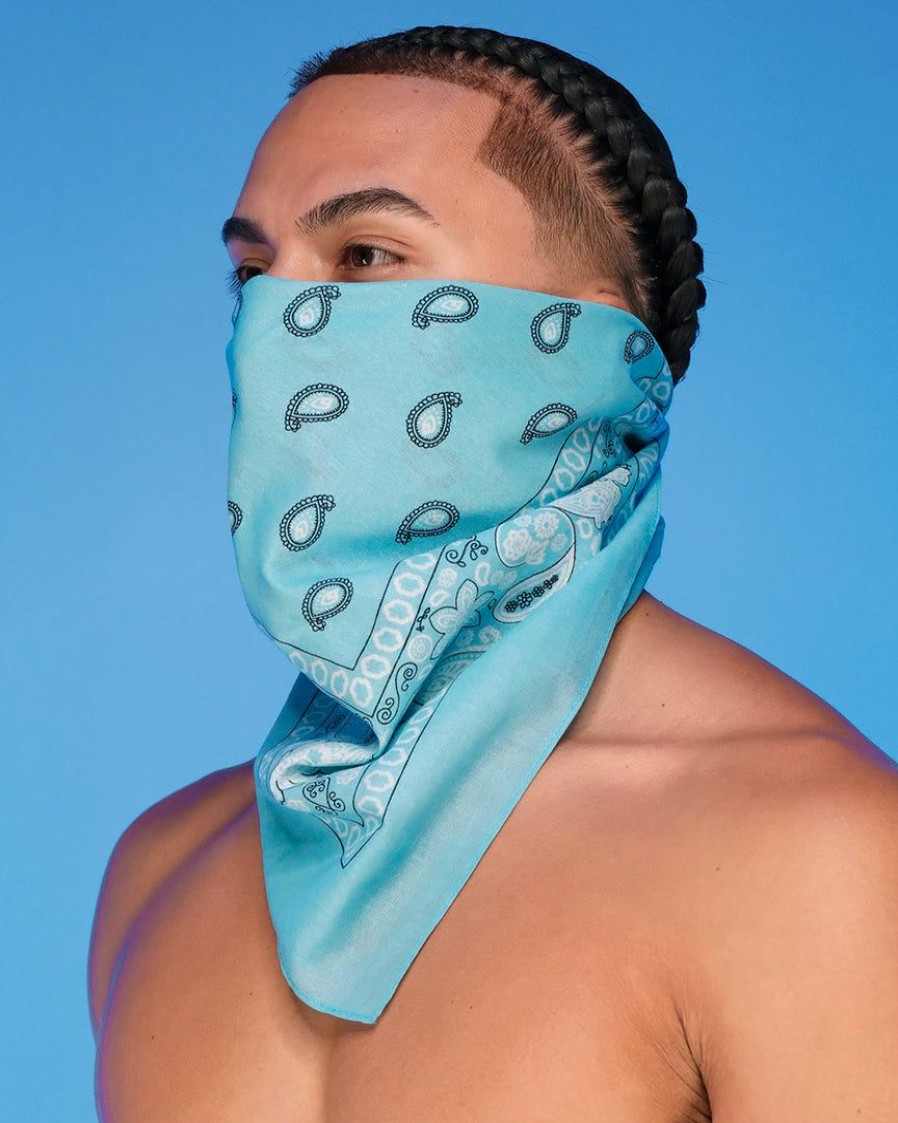 Accessories * | Ae Basic Paisley Face Bandanna Mask