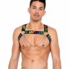 Accessories * | Roma Rainbow Love Chain Harness